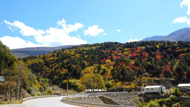Autumn view of Baima Snowmountain