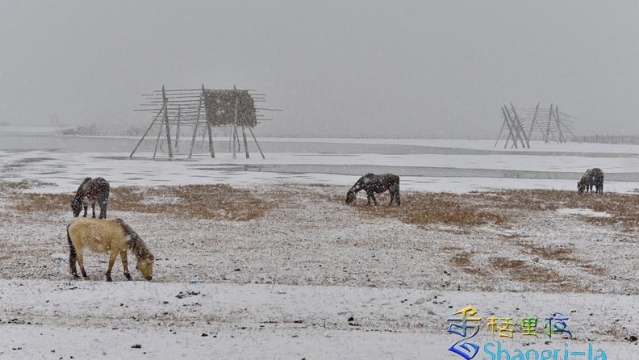 The First Snowing at Pangtiange