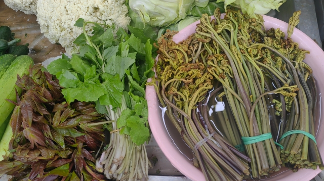 Seasonal vegetables in Weixi County are highly favored by the public in spring